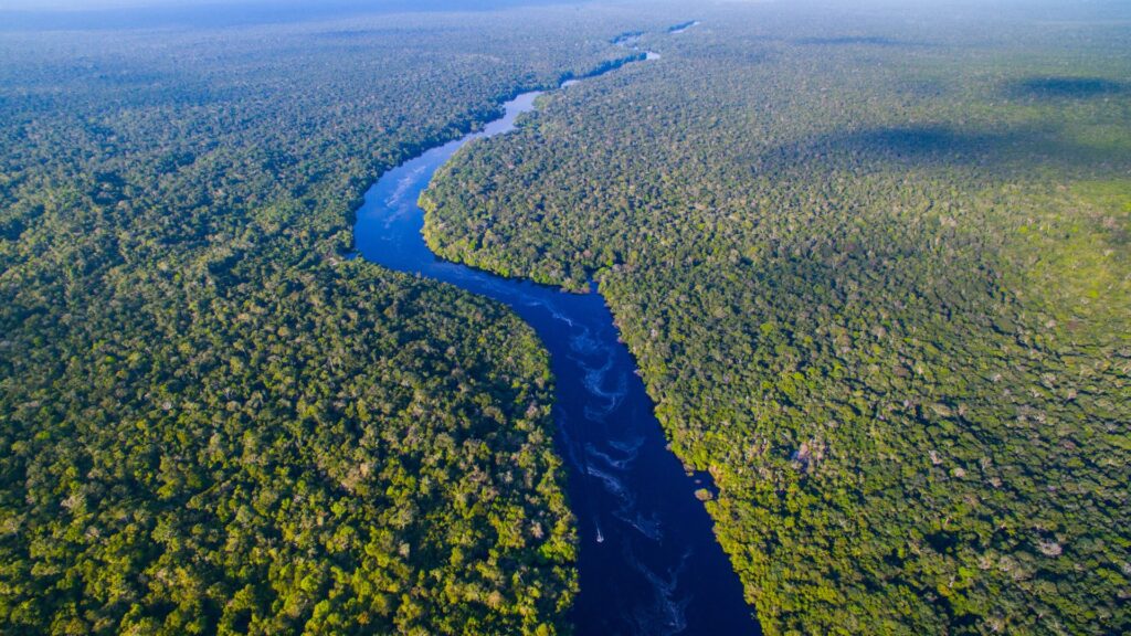 Biodiversidade brasileira na cosmética: entenda a Lei da Biodiversidade e o papel do CGen